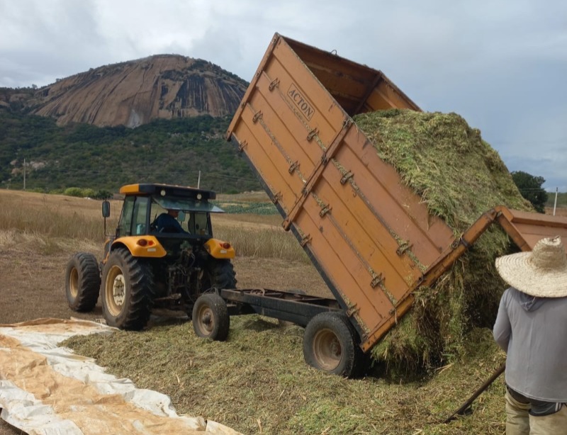 Produ��o de silagem refor�a apoio aos produtores rurais em S�o Jos� de Espinharas